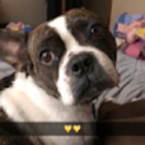 Meet your Posher, Amiaya